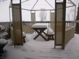 Snow storm in Peterborough